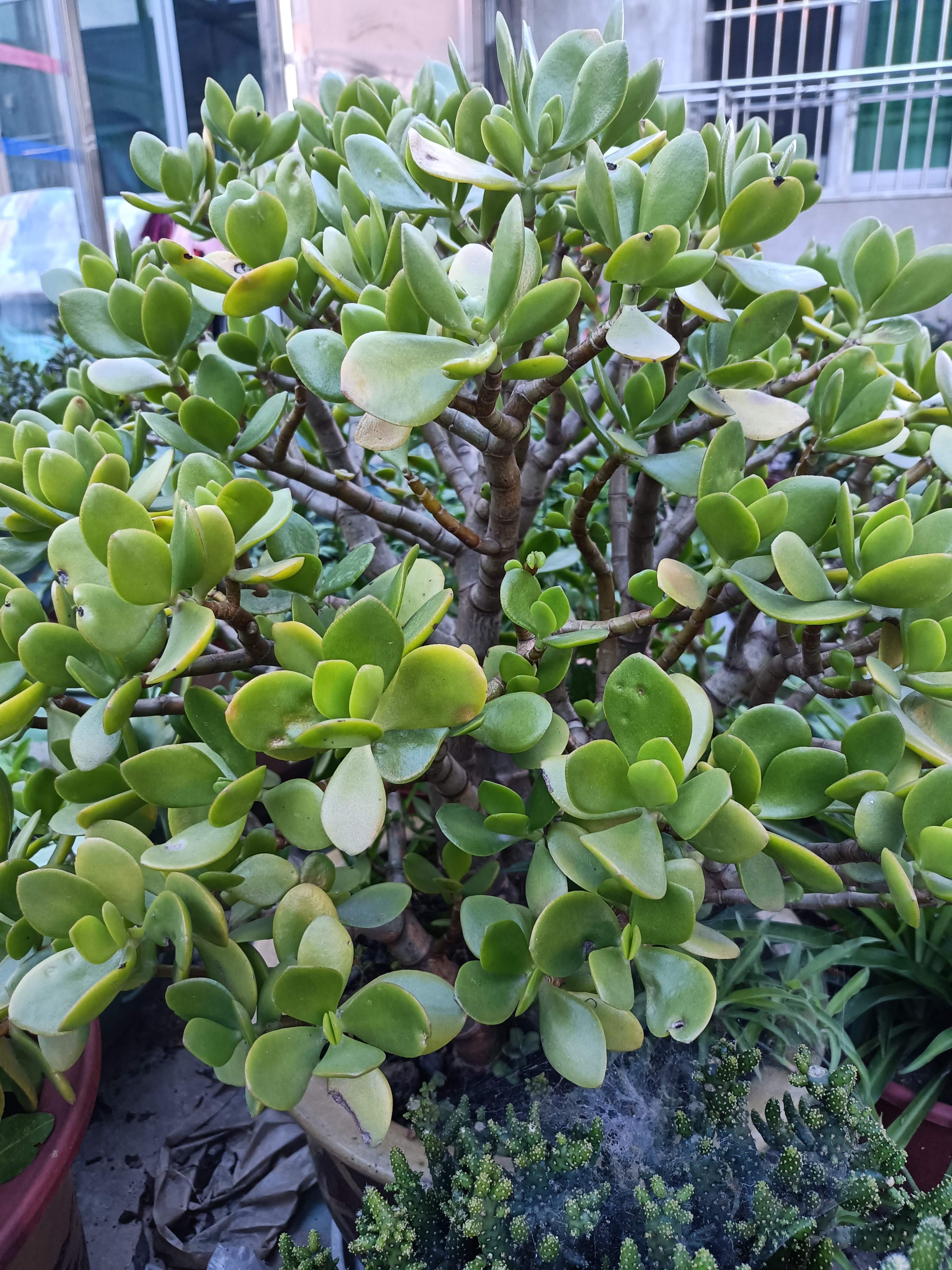 向东北