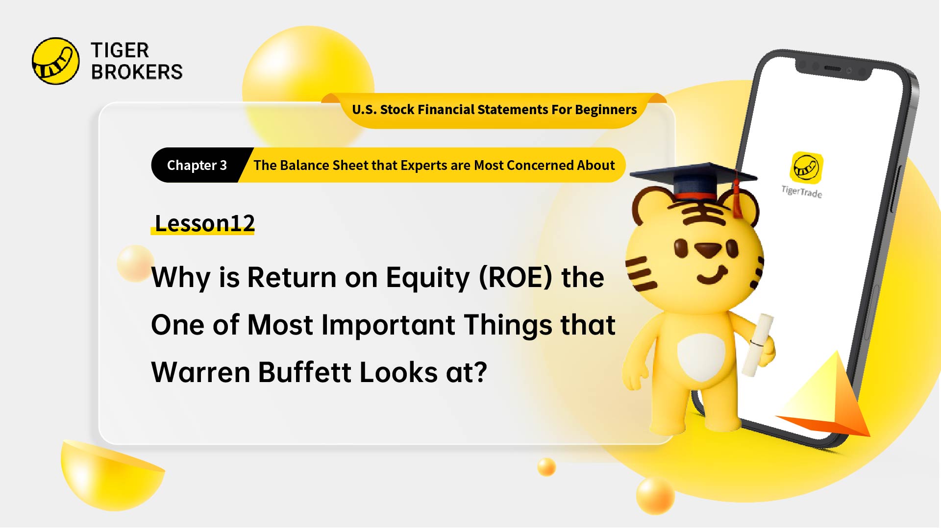 Lesson12:  The importance of return on equity (ROE)