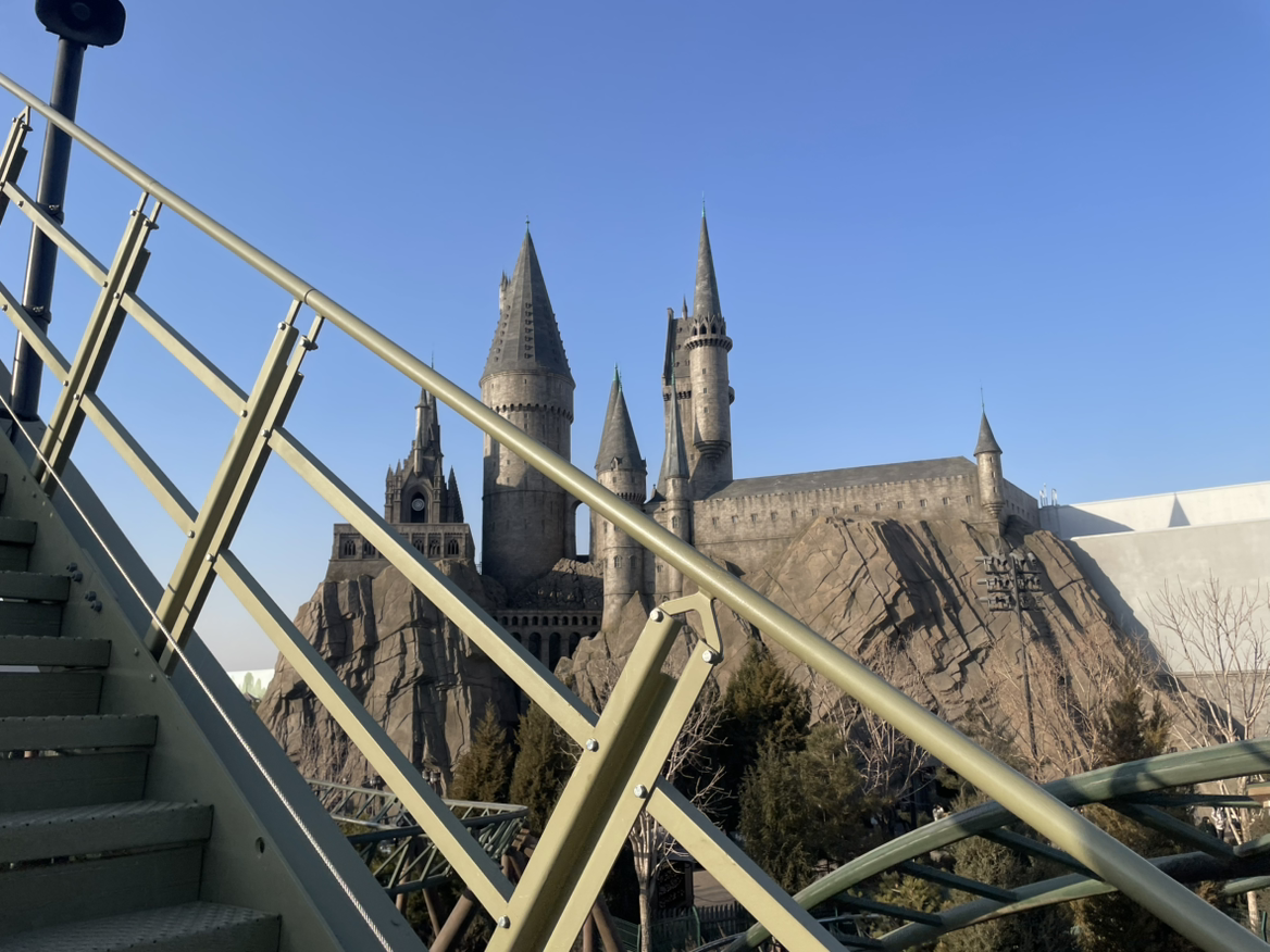 到哪儿都是韭菜