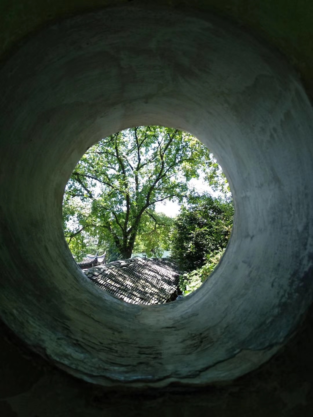 大力出奇迹的Me