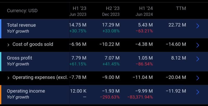 上半年財務報告