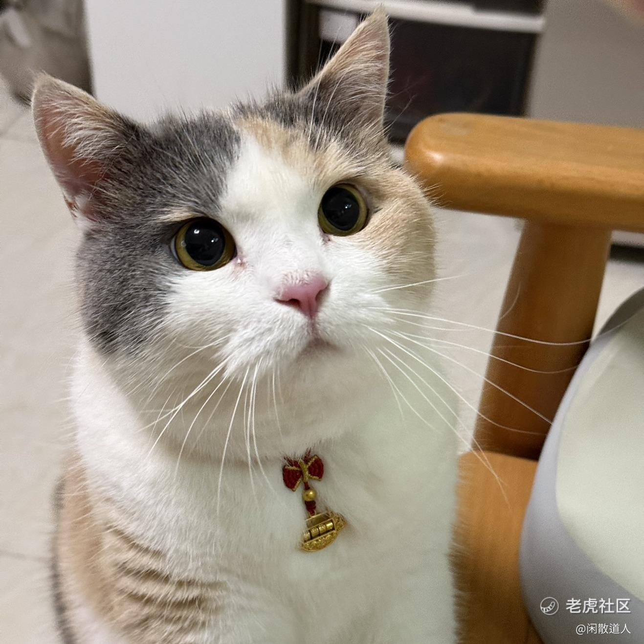 闲散道人