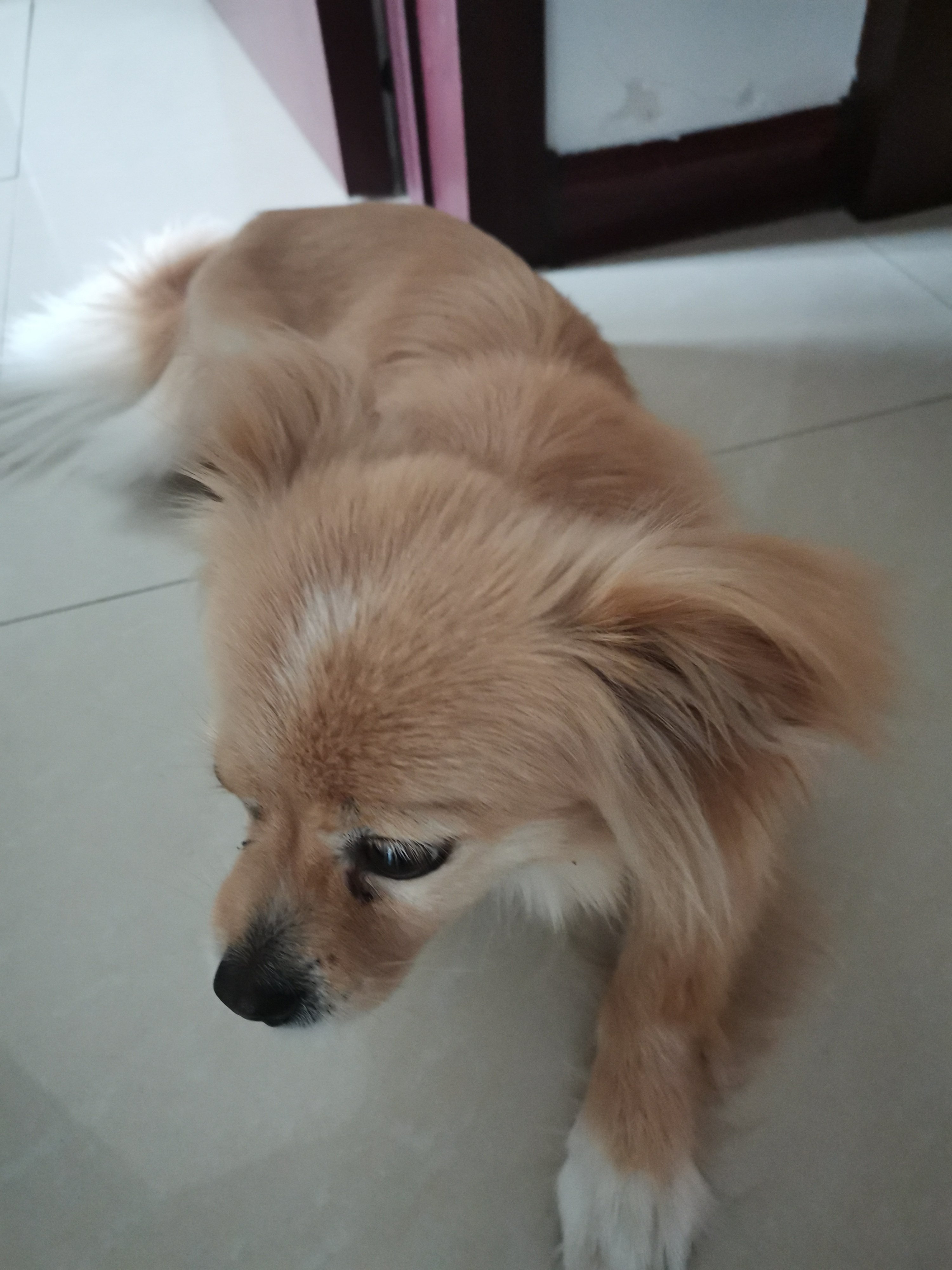 前缘