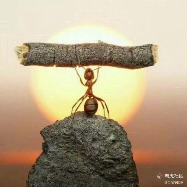 黑咖啡欧欧