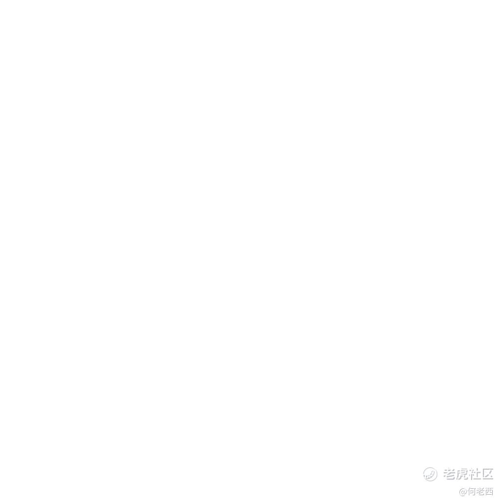 何老西