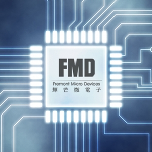FMD单片机