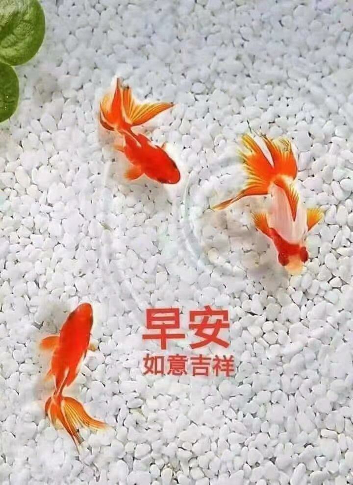 来吧我的钱