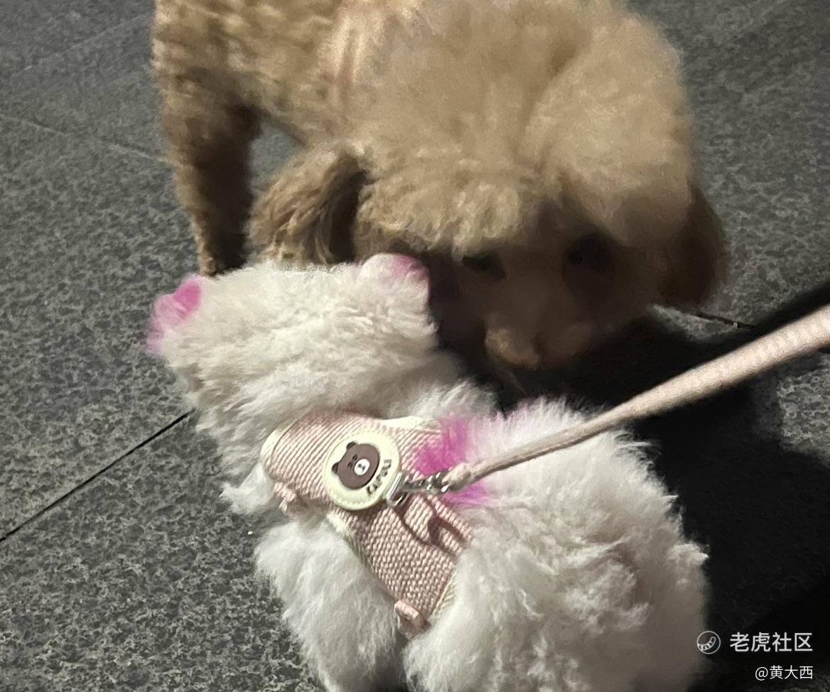 稳稳滴幸福
