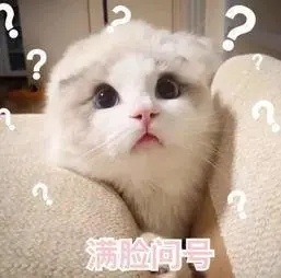 圆圆圆圆圆2