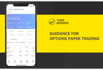 Guidance for Options Paper Account