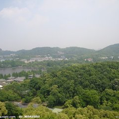 海水群飞