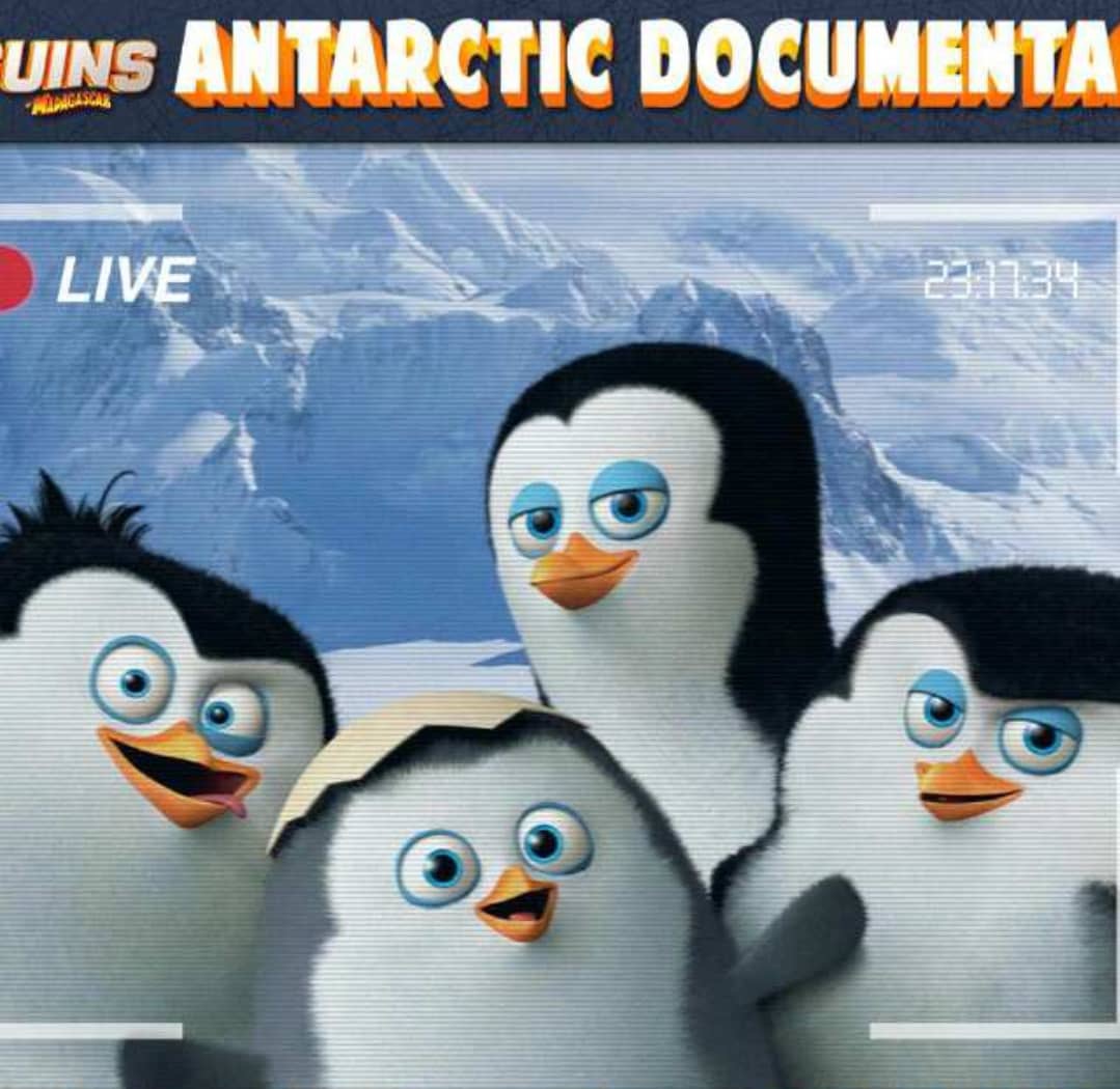 Los pinguinos me la van