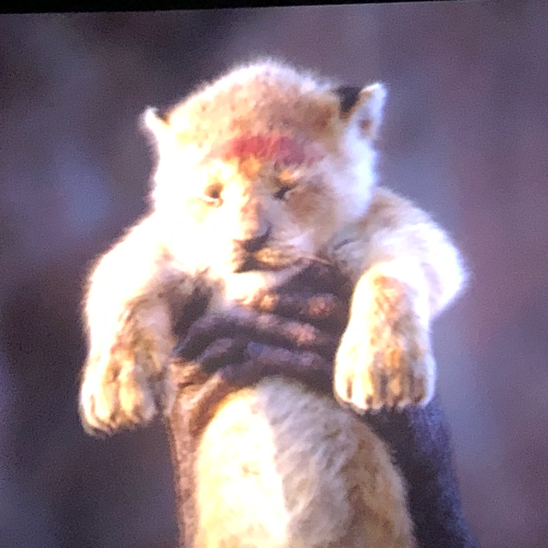 开着拖拉去放羊