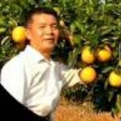 橙子哥5