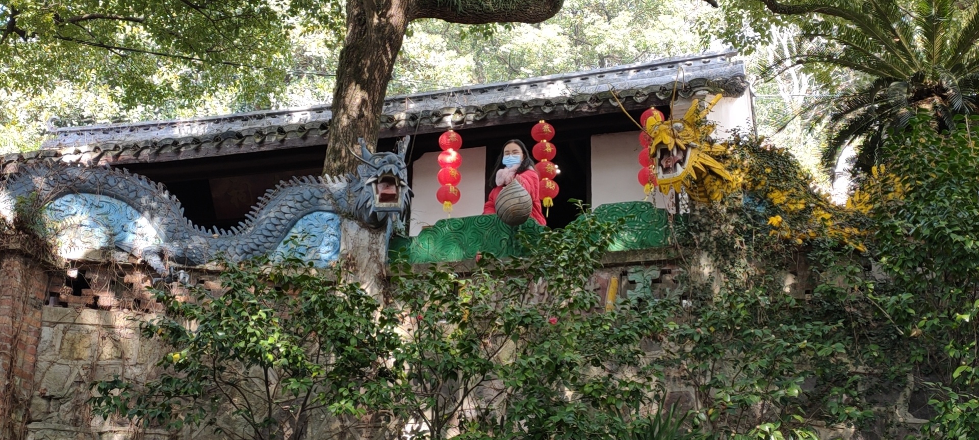 张莲萍