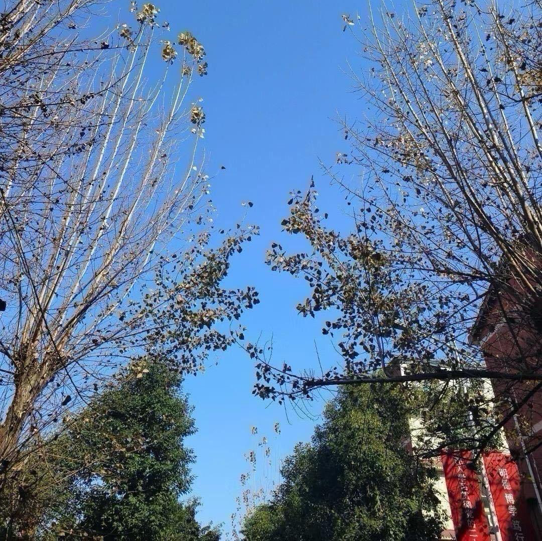 而今迈步从头越嘉嘉嘉