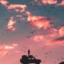 Don_5943