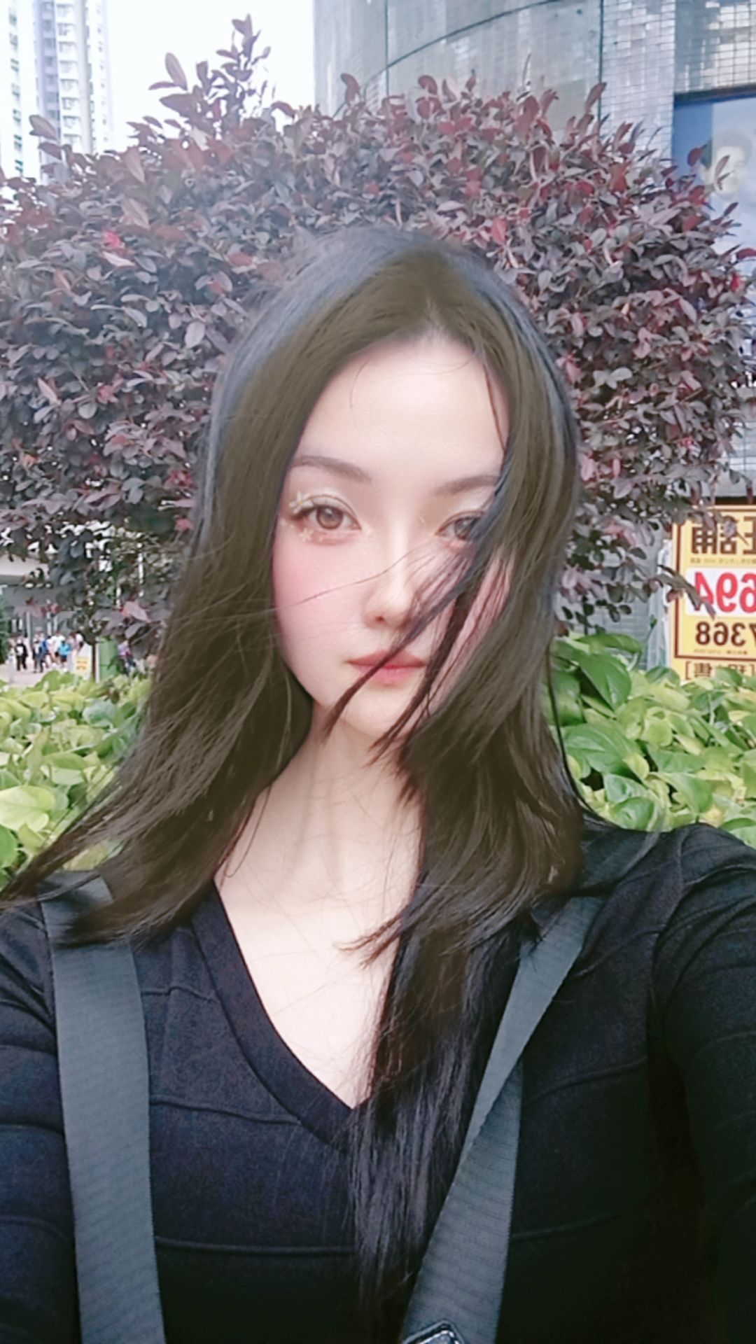 葛蓝碧 高