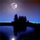 白天不懂夜的黑_3035