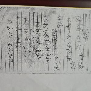 新华林源之麒麟