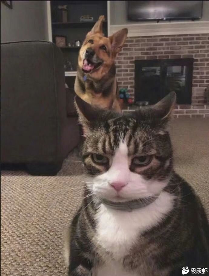 __7493