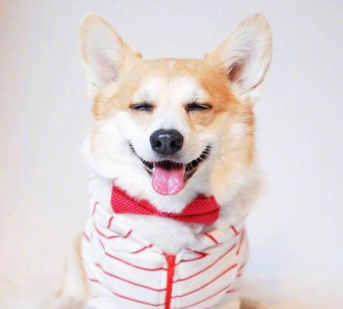 最怕一拳打在半山腰