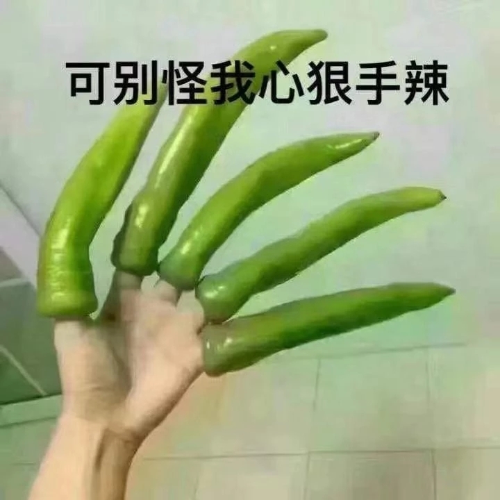 美乐姐姐