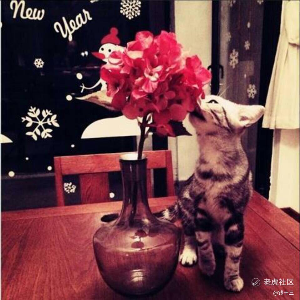 钱十三