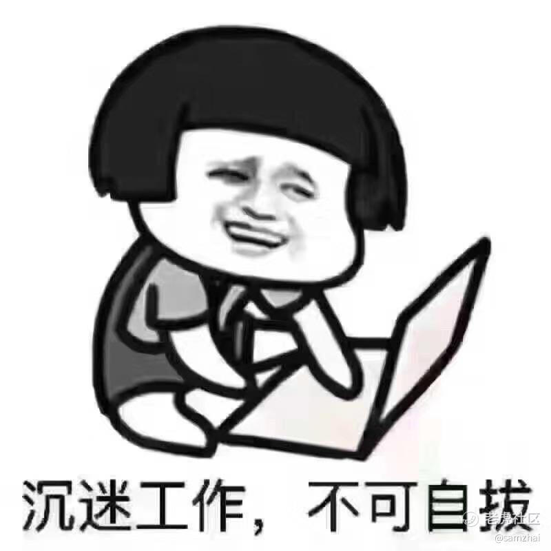 股市一颗韭菜苗