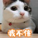 SJT