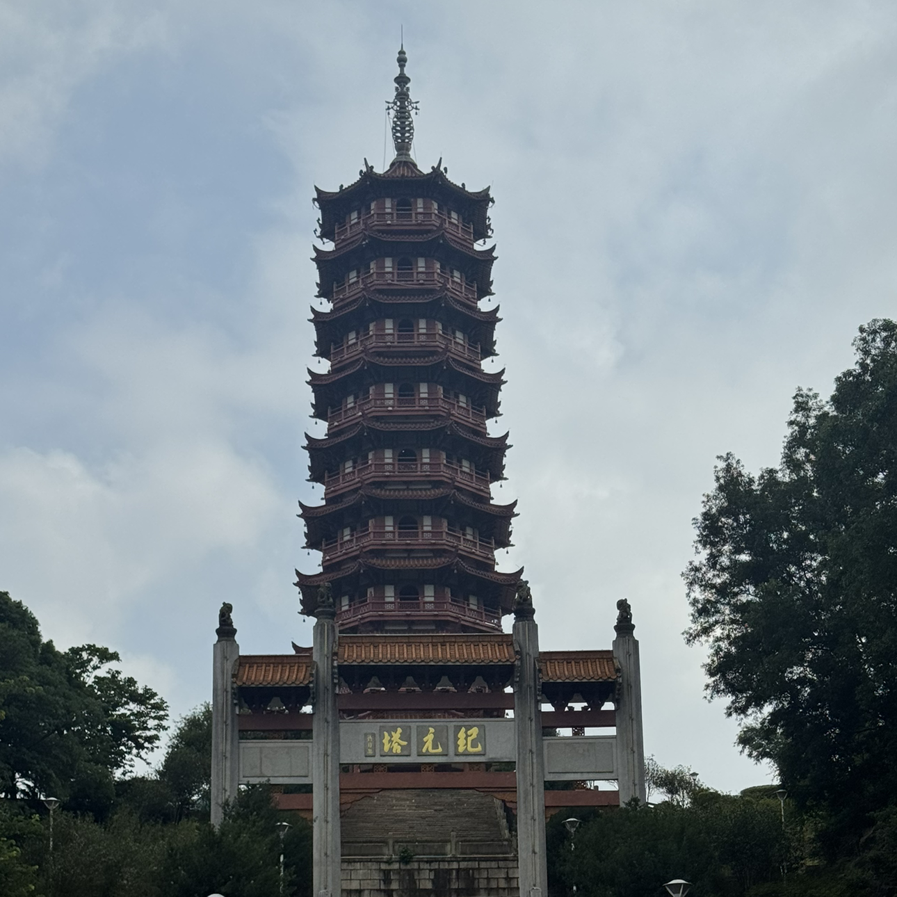 林老虎