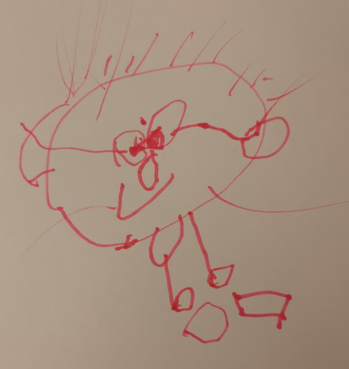 胖肚胖嘟嘟