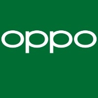 结硬寨打呆仗1973