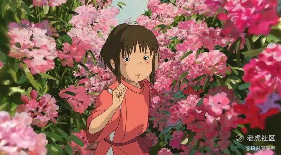 招财喵喵宝