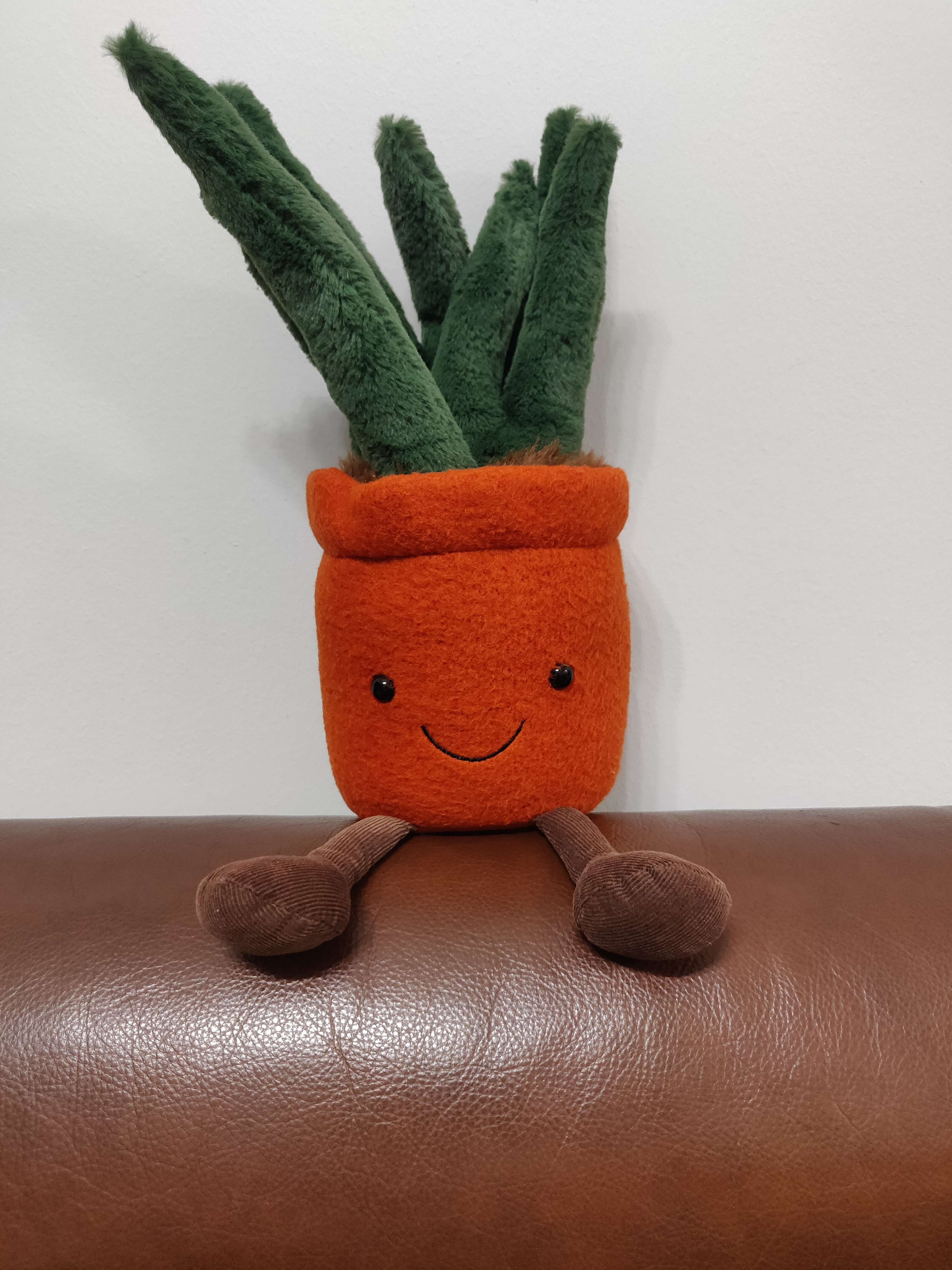 cactuspot