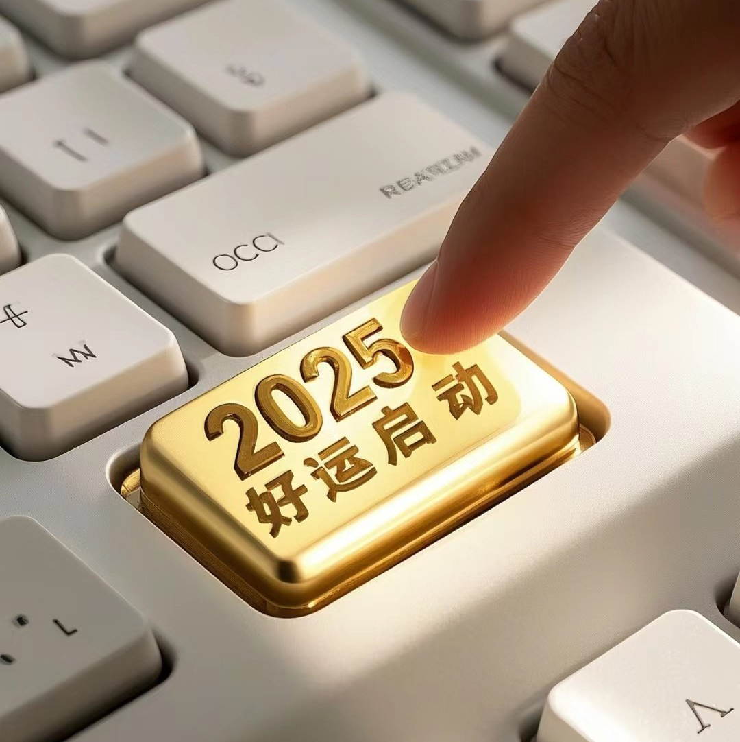 2025日进斗金