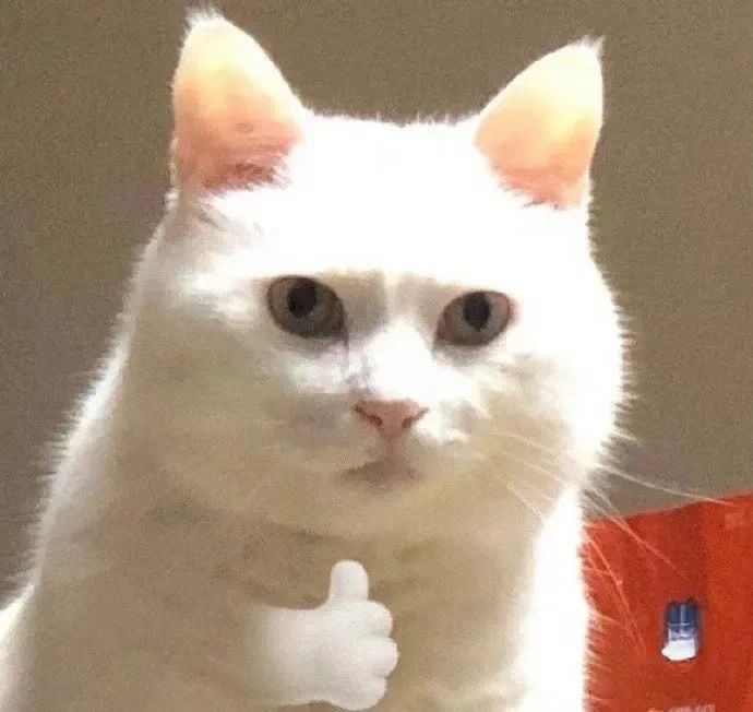克里斯君