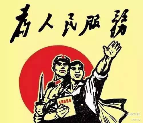 豆豆D