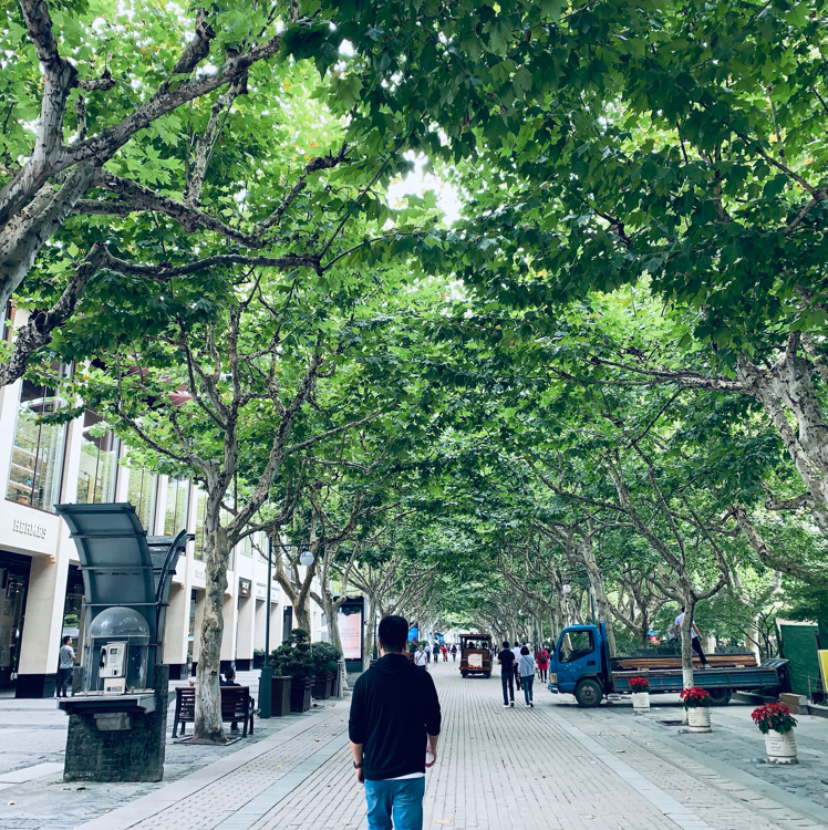 小黑灰灰