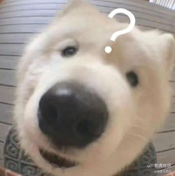 绿皮大西瓜