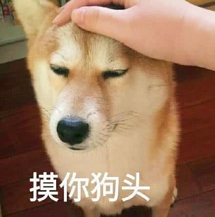 天天教育疣莨