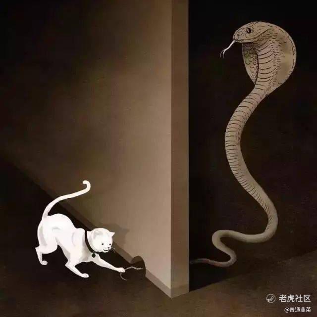 白喵
