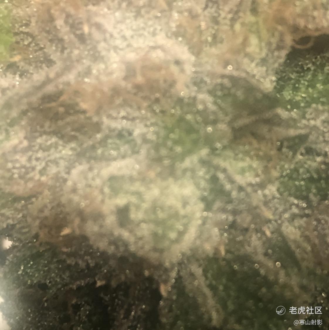 寒山射影