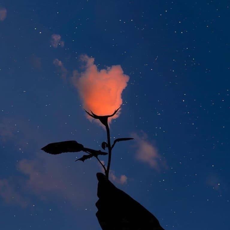 可恶的提莫