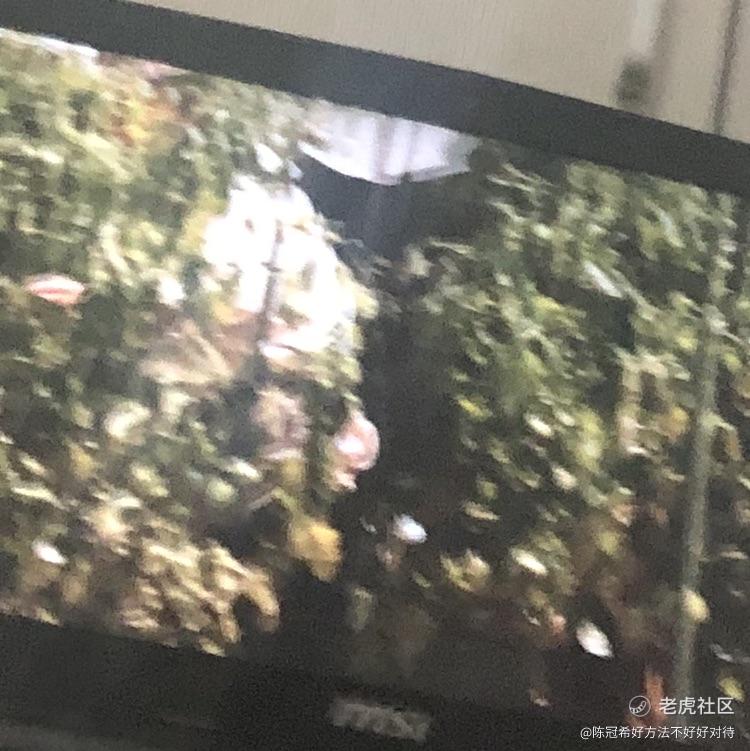 陈冠希好方法不好好对待