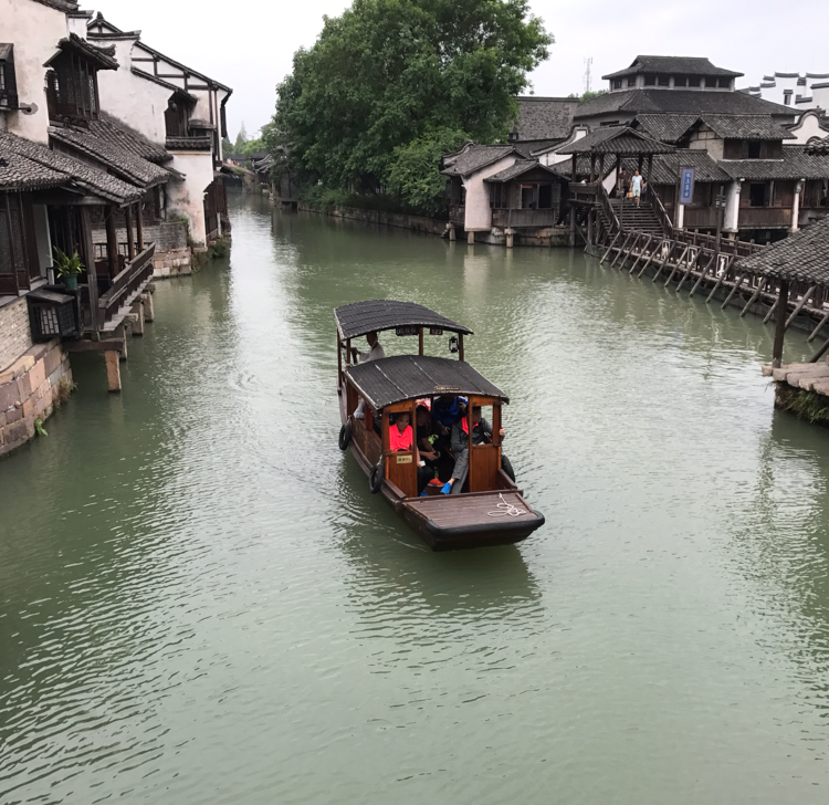 飞过大海的海鸥