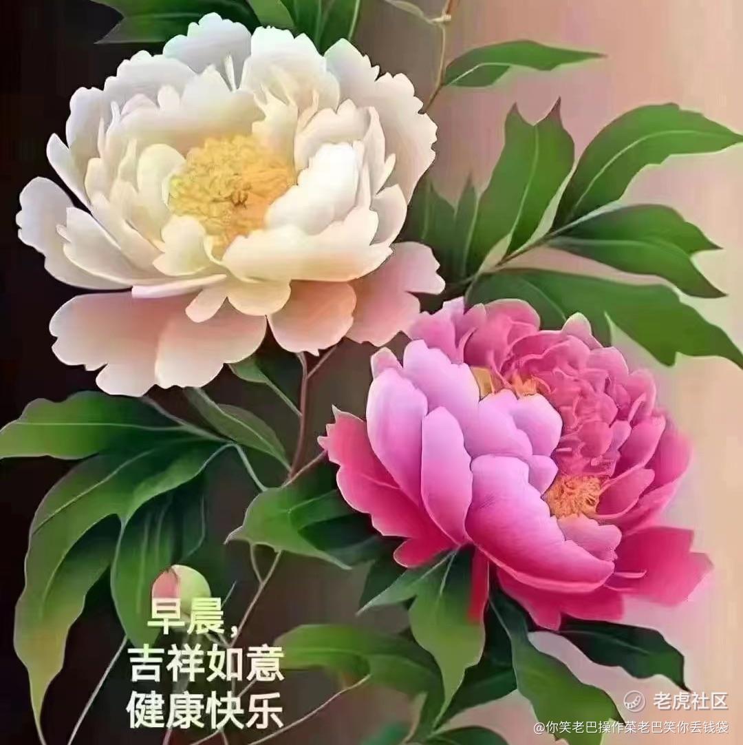做好本分