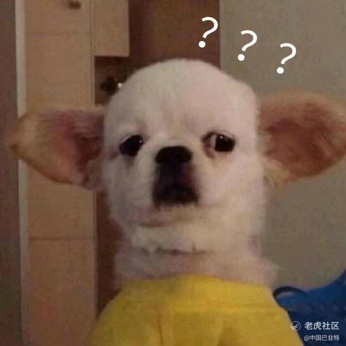 不骗自己