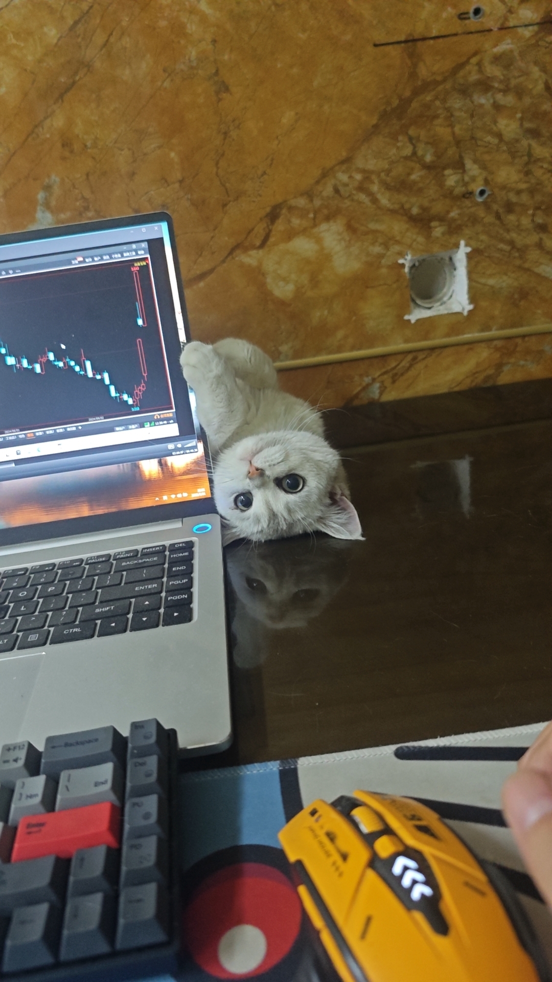 万金油的现金流