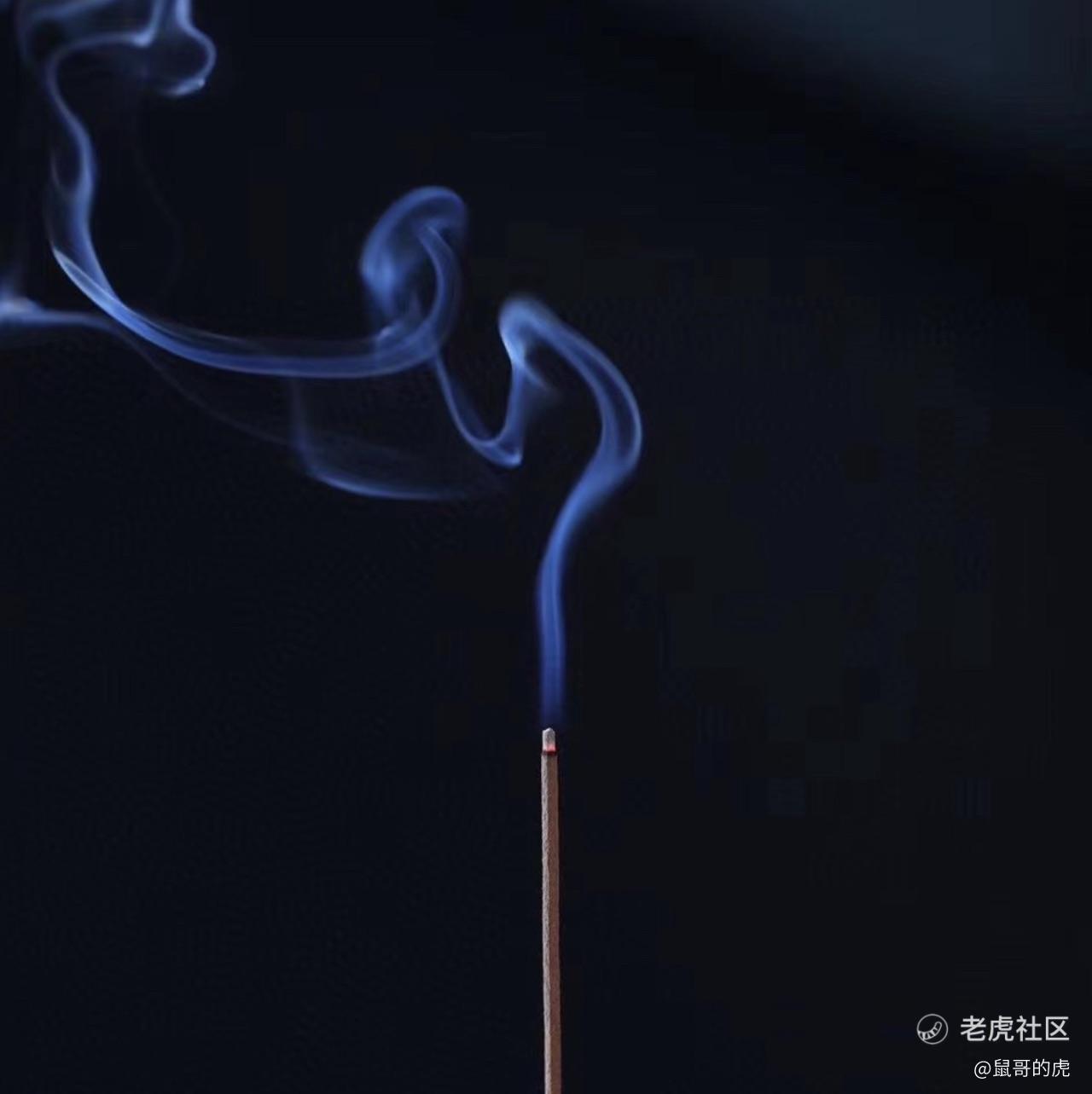 鼠哥的虎